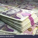 Ponuka do konca roka