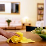 Gazdinka do domácnosti 