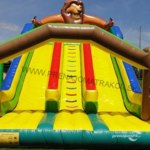 Leví Kráľ MAXI ŠMÝKAČKA na prenájom