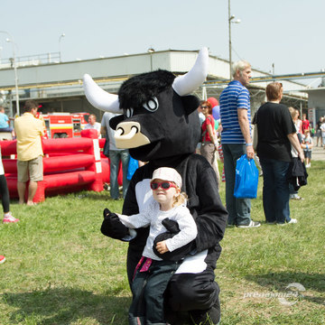 Rozprávkový maskot Býk na prenájom