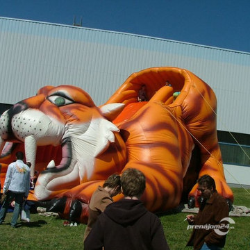 Šmýkalka Tiger na prenájom 
